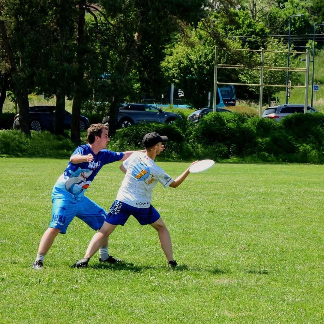Ultimate 